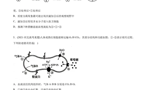 专题02物质进出细胞、酶和ATP-2021年高考生物真题与模拟题分类训练（学生版）_新高考复习资料_2023年新高考复习资料_一轮复习_2023年新高考大一轮复习讲义