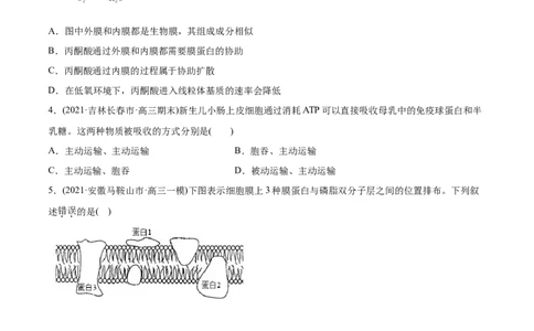 专题02物质进出细胞、酶和ATP-2021年高考生物真题与模拟题分类训练（学生版）_新高考复习资料_2023年新高考复习资料_一轮复习_2023年新高考大一轮复习讲义
