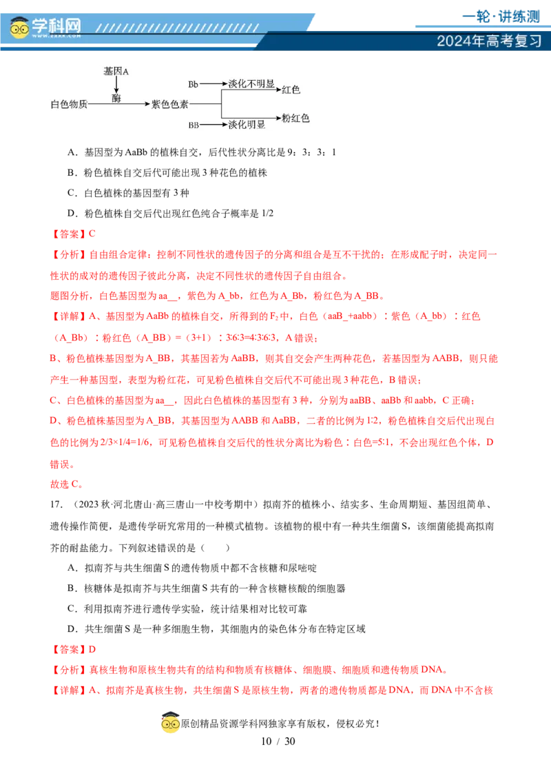 第五单元基因的传递规律（测试）（解析版）_2024年新高考资料_1.2024一轮复习_2024年高考生物一轮复习讲练测（新教材新高考）