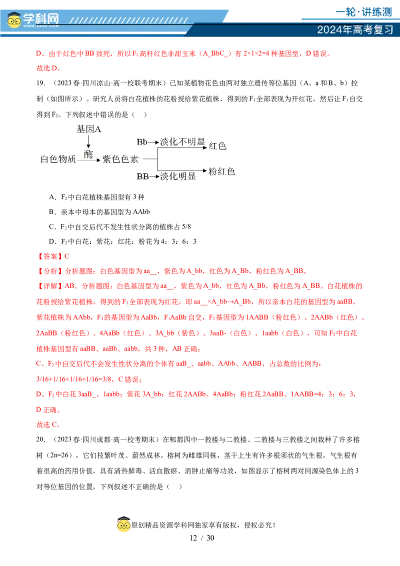 第五单元基因的传递规律（测试）（解析版）_2024年新高考资料_1.2024一轮复习_2024年高考生物一轮复习讲练测（新教材新高考）