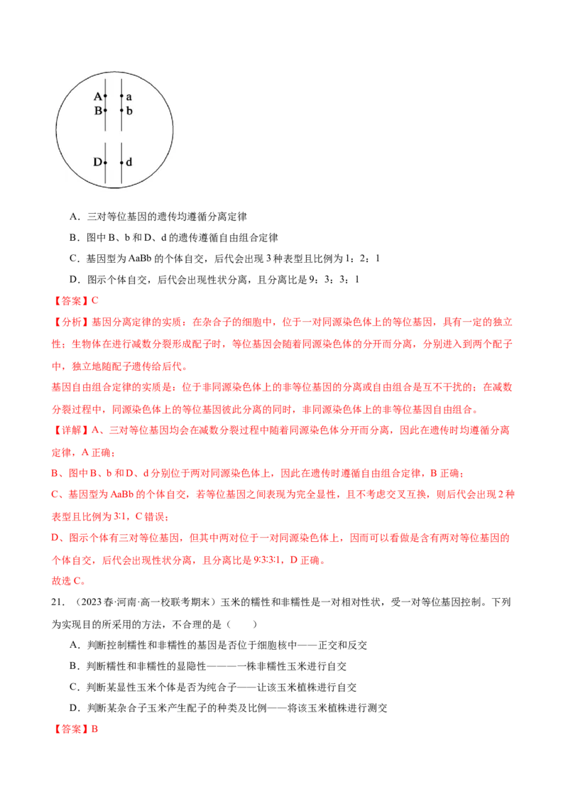 第五单元基因的传递规律（测试）（解析版）_2024年新高考资料_1.2024一轮复习_2024年高考生物一轮复习讲练测（新教材新高考）