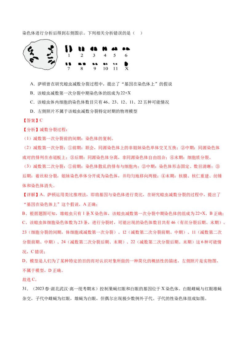 第五单元基因的传递规律（测试）（解析版）_2024年新高考资料_1.2024一轮复习_2024年高考生物一轮复习讲练测（新教材新高考）