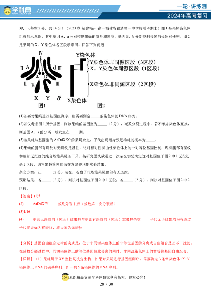 第五单元基因的传递规律（测试）（解析版）_2024年新高考资料_1.2024一轮复习_2024年高考生物一轮复习讲练测（新教材新高考）