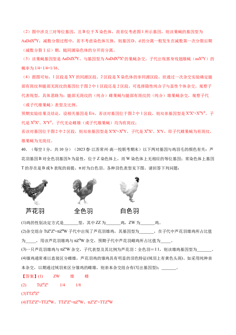 第五单元基因的传递规律（测试）（解析版）_2024年新高考资料_1.2024一轮复习_2024年高考生物一轮复习讲练测（新教材新高考）