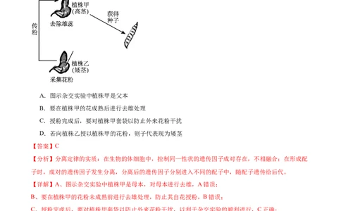 第五单元基因的传递规律（测试）（解析版）_2024年新高考资料_1.2024一轮复习_2024年高考生物一轮复习讲练测（新教材新高考）
