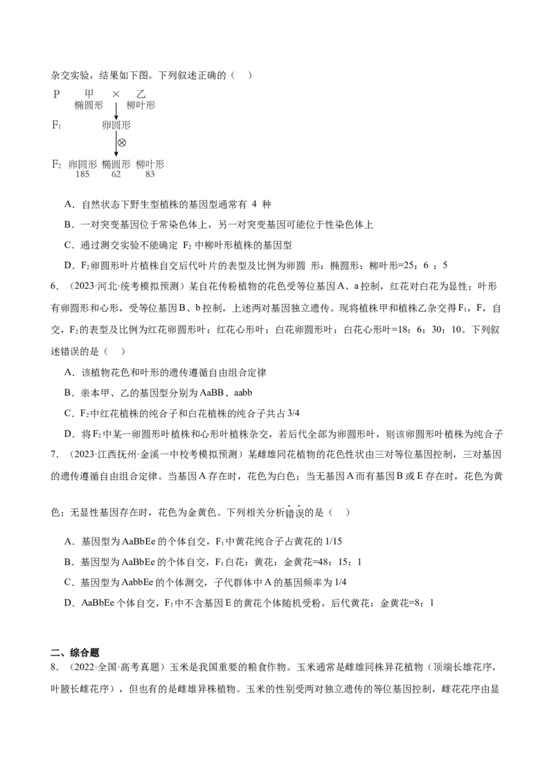 考点通关卷16基因的自由组合定律（原卷版）_2024年新高考资料_1.2024一轮复习_2024年高考生物一轮复习考点通关卷（新高考通用）