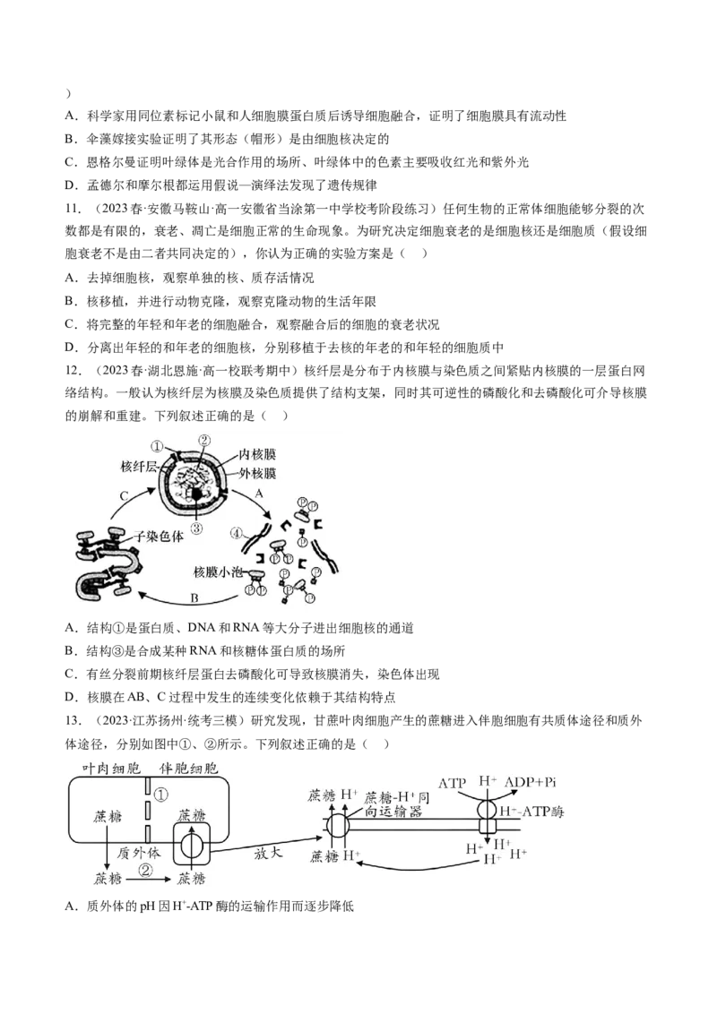 第5讲细胞膜和细胞核（练习）（原卷版）_2024年新高考资料_1.2024一轮复习_2024年高考生物一轮复习讲练测（新教材新高考）