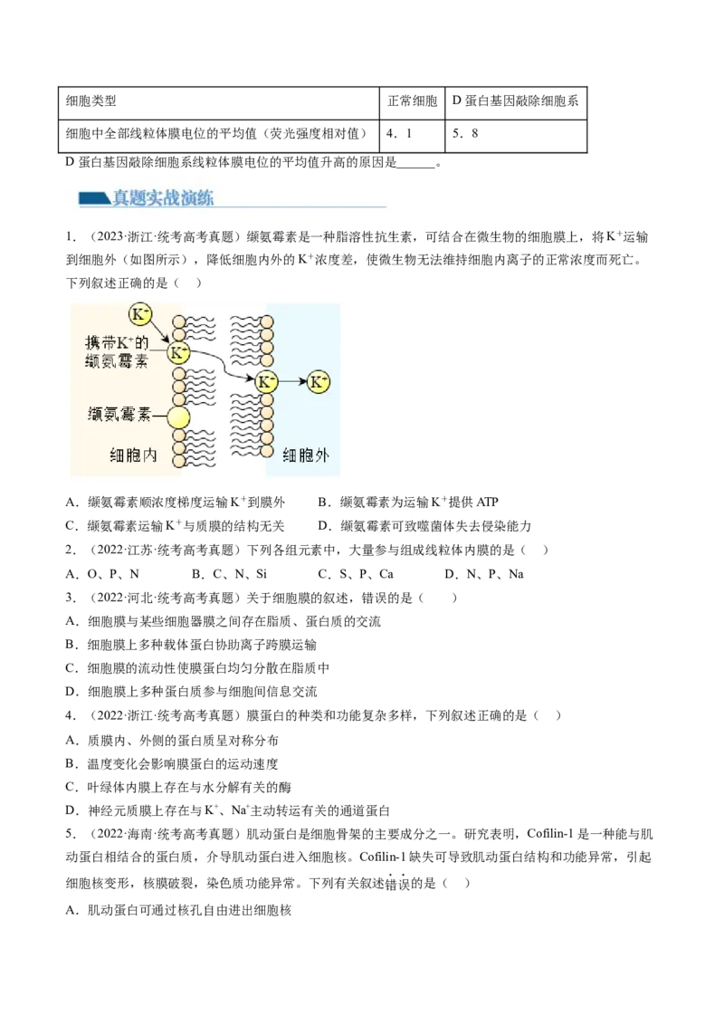 第5讲细胞膜和细胞核（练习）（原卷版）_2024年新高考资料_1.2024一轮复习_2024年高考生物一轮复习讲练测（新教材新高考）