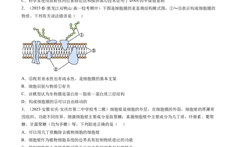 第5讲细胞膜和细胞核（练习）（原卷版）_2024年新高考资料_1.2024一轮复习_2024年高考生物一轮复习讲练测（新教材新高考）
