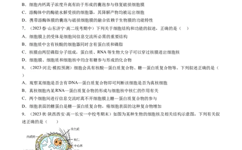 第5讲细胞膜和细胞核（练习）（原卷版）_2024年新高考资料_1.2024一轮复习_2024年高考生物一轮复习讲练测（新教材新高考）