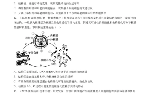 第5讲细胞膜和细胞核（练习）（原卷版）_2024年新高考资料_1.2024一轮复习_2024年高考生物一轮复习讲练测（新教材新高考）