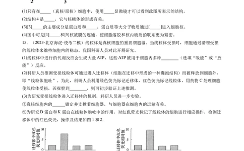 第5讲细胞膜和细胞核（练习）（原卷版）_2024年新高考资料_1.2024一轮复习_2024年高考生物一轮复习讲练测（新教材新高考）