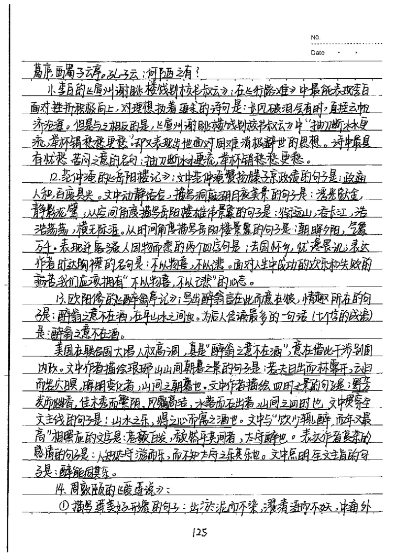 中考状元笔记语文_初中资料