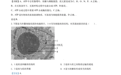 2021年高考生物试卷（北京）（含答案）_北京市高考历年真题_生物