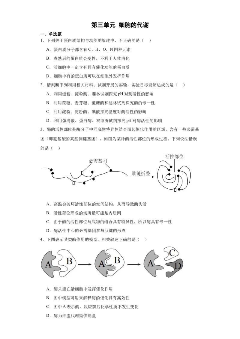 第三单元细胞的代谢（测试卷）（原卷版)_2024年新高考资料_3.2024专项复习_备战2024年高考生物一轮复习重难点专项突破