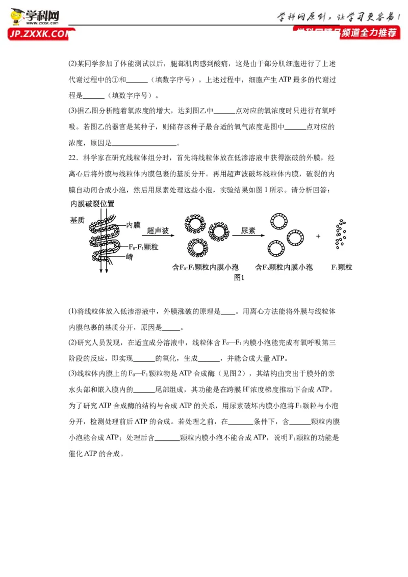 第三单元细胞的代谢（测试卷）（原卷版)_2024年新高考资料_3.2024专项复习_备战2024年高考生物一轮复习重难点专项突破