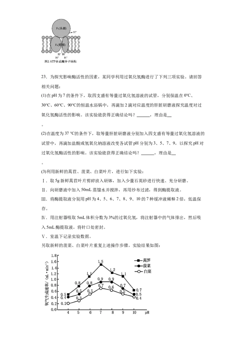 第三单元细胞的代谢（测试卷）（原卷版)_2024年新高考资料_3.2024专项复习_备战2024年高考生物一轮复习重难点专项突破