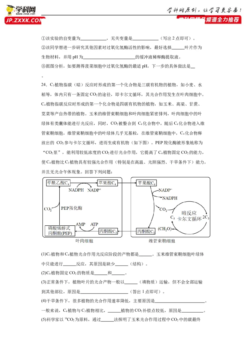 第三单元细胞的代谢（测试卷）（原卷版)_2024年新高考资料_3.2024专项复习_备战2024年高考生物一轮复习重难点专项突破