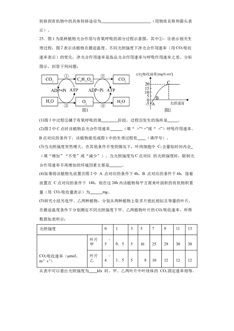 第三单元细胞的代谢（测试卷）（原卷版)_2024年新高考资料_3.2024专项复习_备战2024年高考生物一轮复习重难点专项突破