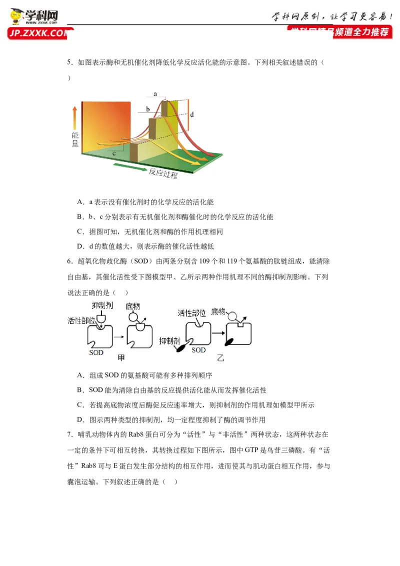 第三单元细胞的代谢（测试卷）（原卷版)_2024年新高考资料_3.2024专项复习_备战2024年高考生物一轮复习重难点专项突破