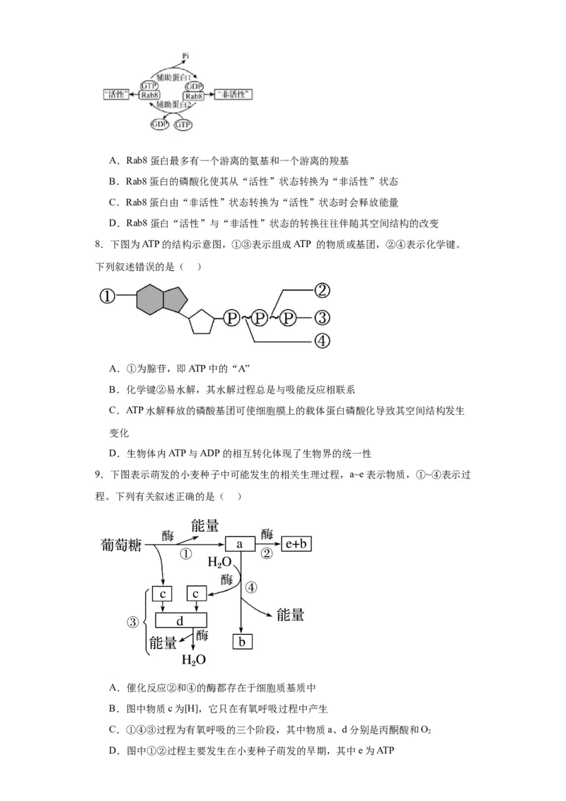 第三单元细胞的代谢（测试卷）（原卷版)_2024年新高考资料_3.2024专项复习_备战2024年高考生物一轮复习重难点专项突破
