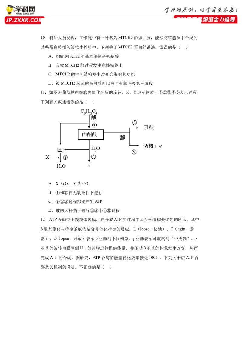第三单元细胞的代谢（测试卷）（原卷版)_2024年新高考资料_3.2024专项复习_备战2024年高考生物一轮复习重难点专项突破
