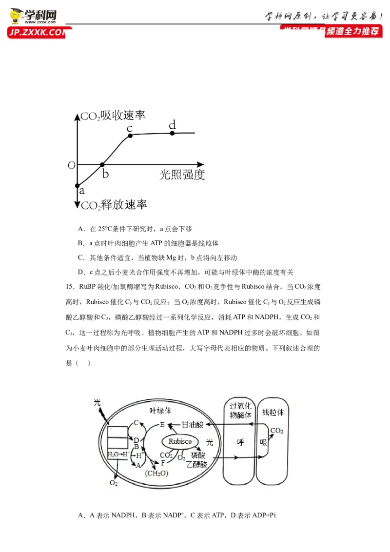 第三单元细胞的代谢（测试卷）（原卷版)_2024年新高考资料_3.2024专项复习_备战2024年高考生物一轮复习重难点专项突破