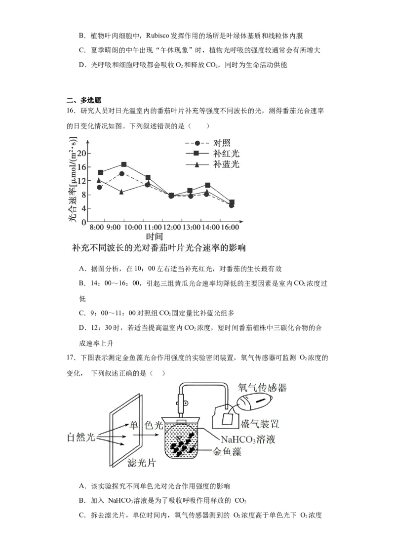 第三单元细胞的代谢（测试卷）（原卷版)_2024年新高考资料_3.2024专项复习_备战2024年高考生物一轮复习重难点专项突破