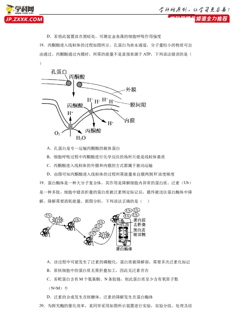第三单元细胞的代谢（测试卷）（原卷版)_2024年新高考资料_3.2024专项复习_备战2024年高考生物一轮复习重难点专项突破