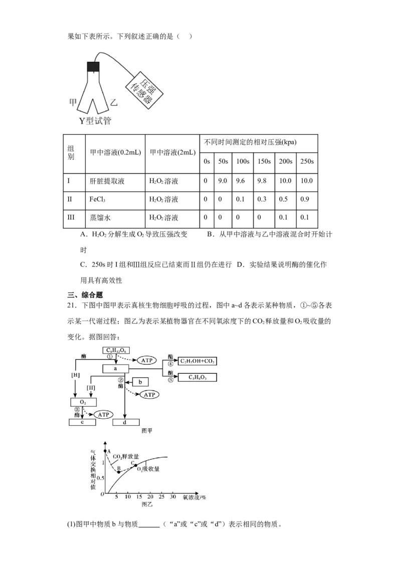 第三单元细胞的代谢（测试卷）（原卷版)_2024年新高考资料_3.2024专项复习_备战2024年高考生物一轮复习重难点专项突破
