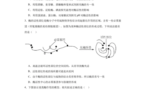 第三单元细胞的代谢（测试卷）（原卷版)_2024年新高考资料_3.2024专项复习_备战2024年高考生物一轮复习重难点专项突破