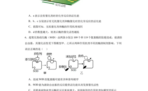 第三单元细胞的代谢（测试卷）（原卷版)_2024年新高考资料_3.2024专项复习_备战2024年高考生物一轮复习重难点专项突破