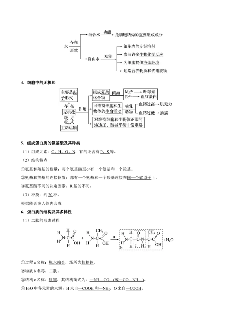 专题01细胞的分子组成和结构-备战2019年高考生物之纠错笔记系列（解析版）_新高考复习资料_2022年新高考复习资料_2022年一轮复习最新版_1.2022年高考生物一轮复习全国通用版