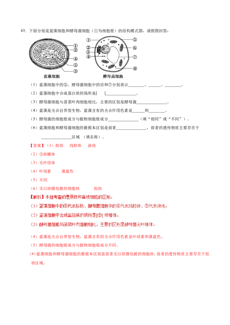 专题01细胞的分子组成和结构-备战2019年高考生物之纠错笔记系列（解析版）_新高考复习资料_2022年新高考复习资料_2022年一轮复习最新版_1.2022年高考生物一轮复习全国通用版