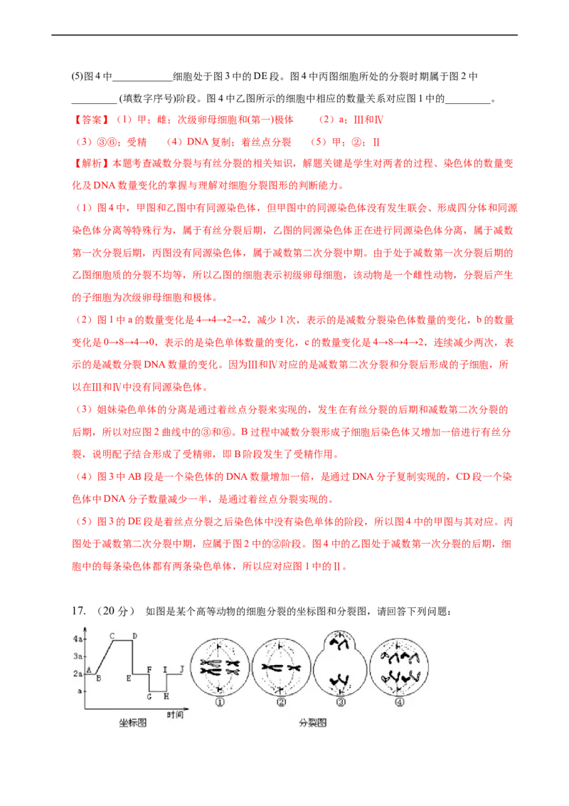 专题06减数分裂及受精作用（测试卷）-2023年高考生物二轮复习讲练测（全国通用）（解析版）_通用版（老高考）复习资料_2023年复习资料_二轮复习