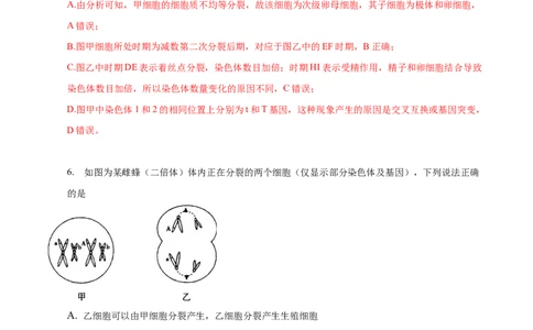 专题06减数分裂及受精作用（测试卷）-2023年高考生物二轮复习讲练测（全国通用）（解析版）_通用版（老高考）复习资料_2023年复习资料_二轮复习