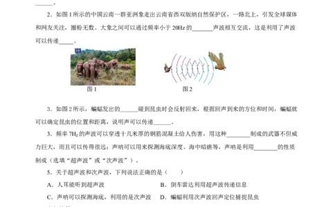 2.3声的利用（分层作业）-（人教版）原卷版_初物_八年级上下册+九年级全一册物理_八年级物理上册_老课标资料_同步练习