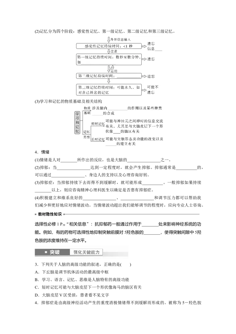 第8单元　第4课时　神经系统的分级调节和人脑的高级功能_2024年新高考资料_1.2024一轮复习_2024年高考生物一轮复习讲义（新人教版）_学生版在此文件夹_大一轮复习讲义