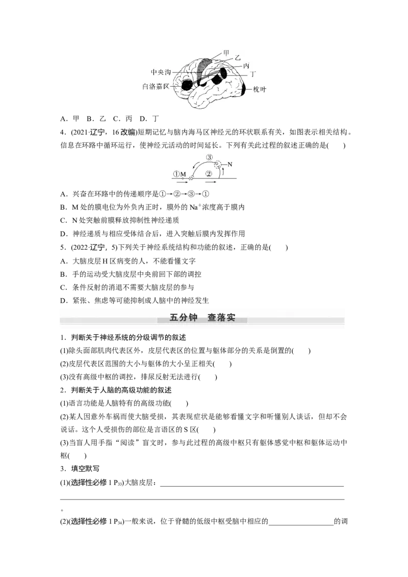 第8单元　第4课时　神经系统的分级调节和人脑的高级功能_2024年新高考资料_1.2024一轮复习_2024年高考生物一轮复习讲义（新人教版）_学生版在此文件夹_大一轮复习讲义