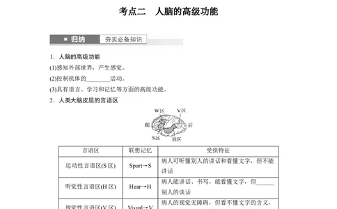 第8单元　第4课时　神经系统的分级调节和人脑的高级功能_2024年新高考资料_1.2024一轮复习_2024年高考生物一轮复习讲义（新人教版）_学生版在此文件夹_大一轮复习讲义