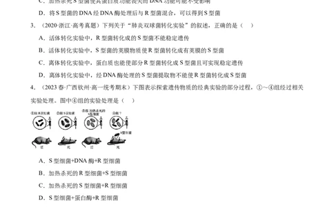 考点通关卷20DNA是主要的遗传物质（原卷版）_2024年新高考资料_1.2024一轮复习_2024年高考生物一轮复习考点通关卷（新高考通用）