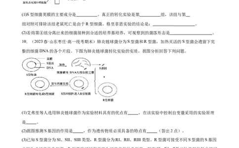 考点通关卷20DNA是主要的遗传物质（原卷版）_2024年新高考资料_1.2024一轮复习_2024年高考生物一轮复习考点通关卷（新高考通用）