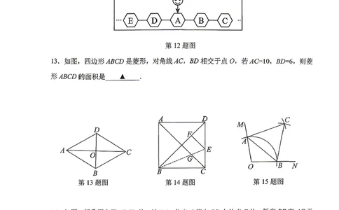 沈阳大东区2025-2026学年九年级中考一模数学试卷+答案_沈阳一模