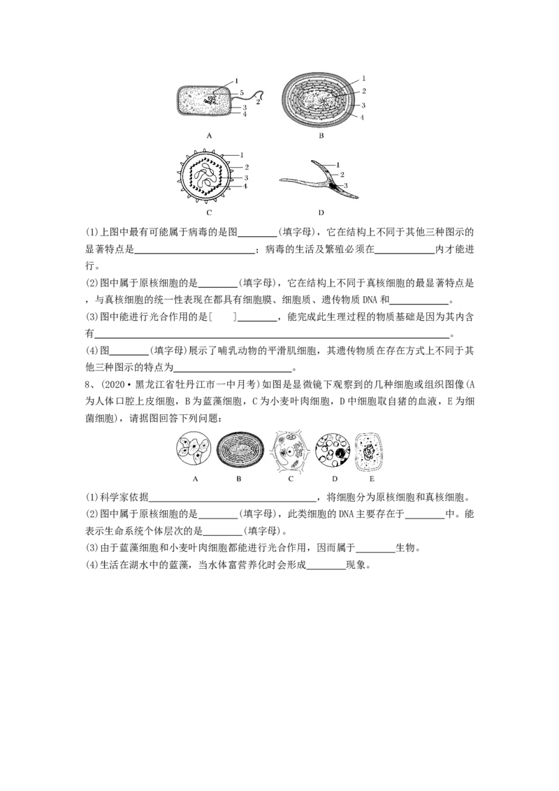 专题01走近细胞（精练）（原卷版）_新高考复习资料_2024年新高考复习资料_一轮复习资料_完备战2024年高考生物一轮复习串讲精练（新高考专用）_精练