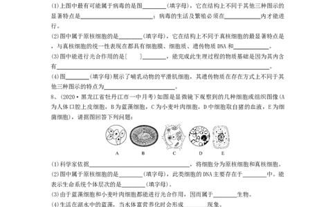 专题01走近细胞（精练）（原卷版）_新高考复习资料_2024年新高考复习资料_一轮复习资料_完备战2024年高考生物一轮复习串讲精练（新高考专用）_精练
