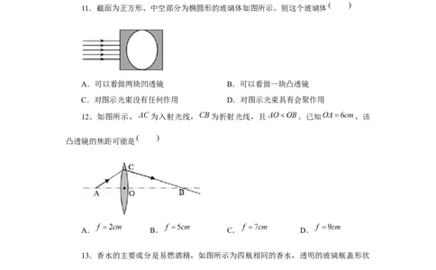 5.1透镜习题物理人教版八年级上册_初物_八年级上下册+九年级全一册物理_八年级物理上册_老课标资料_同步练习(部分无答案)