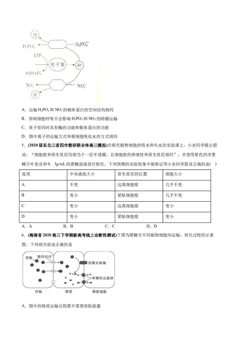 专题02物质进出细胞、酶和ATP-2020年高考真题和模拟题生物分项汇编（学生版）_新高考复习资料_2022年新高考复习资料_2022年一轮复习最新版_1.2022年高考生物一轮复习全国通用版