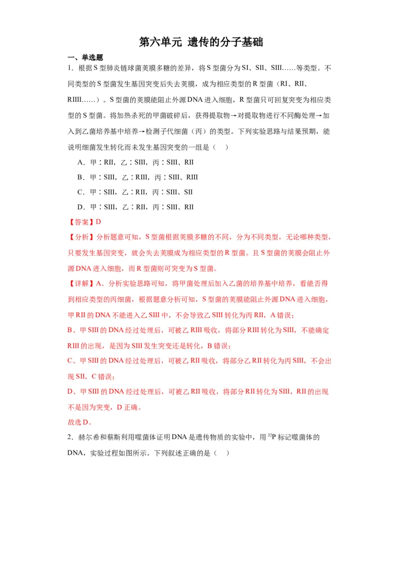 第六单元遗传的分子基础（测试卷）（解析版)_2024年新高考资料_3.2024专项复习_备战2024年高考生物一轮复习重难点专项突破