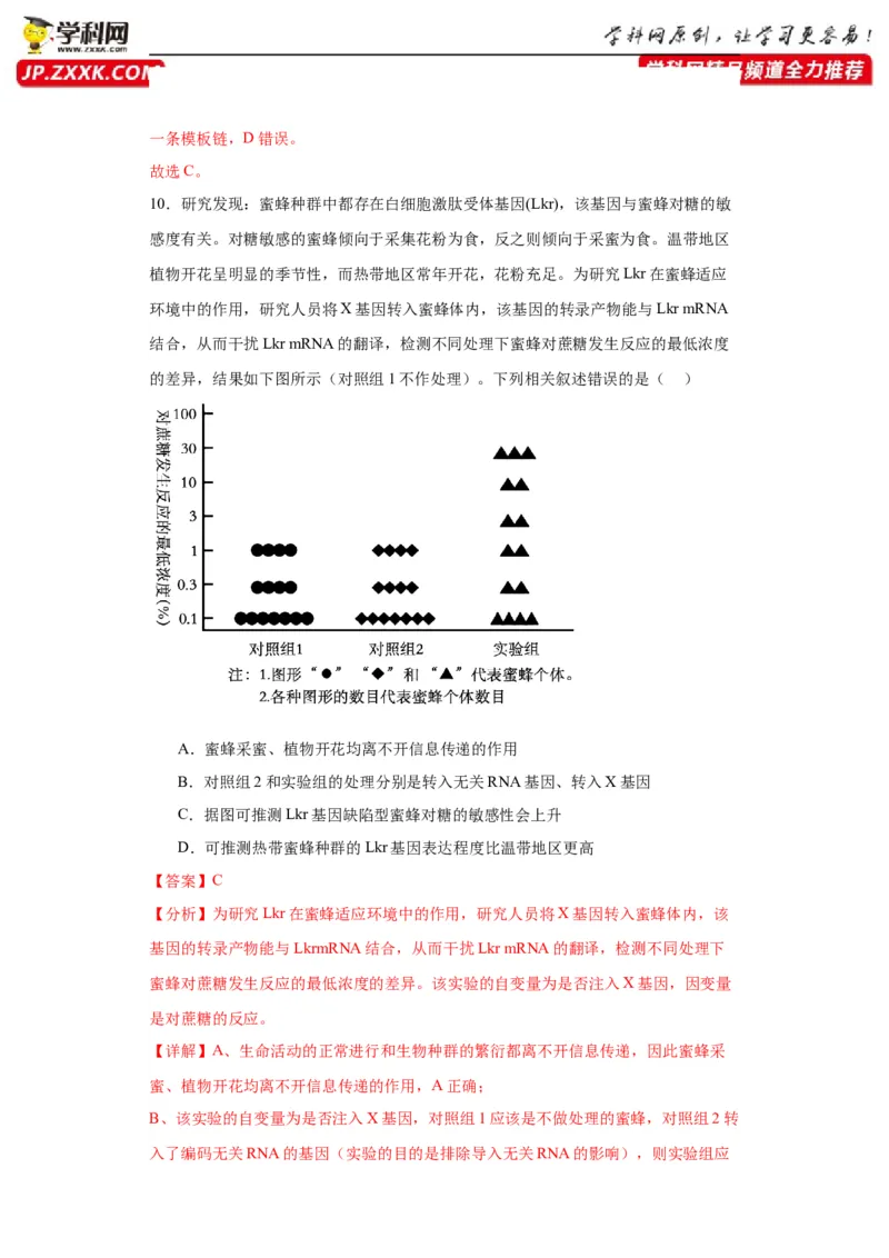 第六单元遗传的分子基础（测试卷）（解析版)_2024年新高考资料_3.2024专项复习_备战2024年高考生物一轮复习重难点专项突破