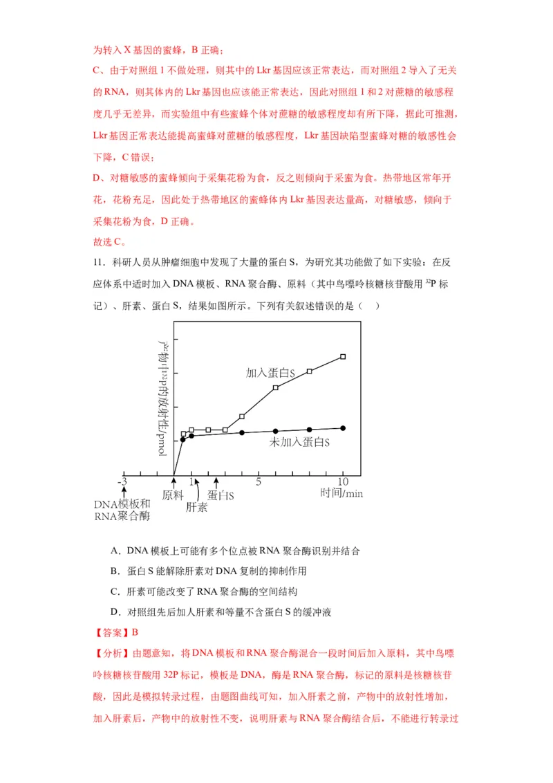 第六单元遗传的分子基础（测试卷）（解析版)_2024年新高考资料_3.2024专项复习_备战2024年高考生物一轮复习重难点专项突破